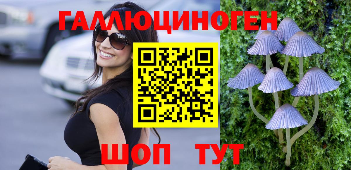 Псилоцибиновые грибы Psilocybine cubensis  Вход с VPN  Галлюциногенные грибы ЛСД  Дербент 